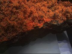 -湖南省地质博物馆