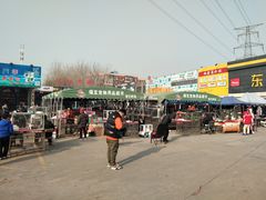 -中环花鸟鱼虫市场