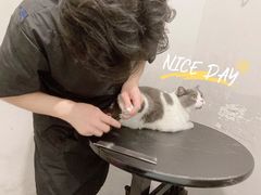 -袖虎·猫馆(体育西路店)