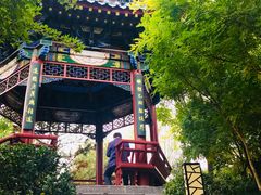 -迎泽公园