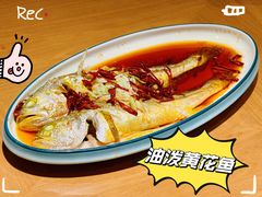 -波螺油子青岛本帮菜(银座店)