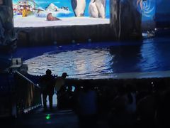 -华夏文旅海洋公园