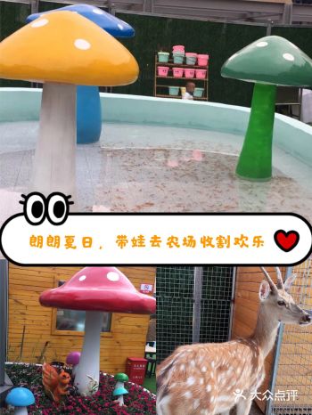 朗朗夏日，带娃去农场收割欢乐