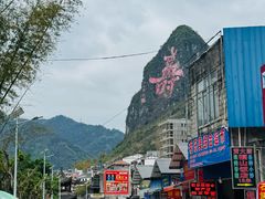 -长寿村