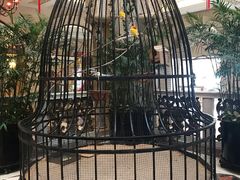 -深圳东部华侨城茵特拉根酒店