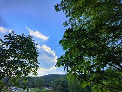 -武陵山森林公园