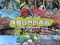 -秋霞圃