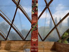 -怀托摩萤火虫洞