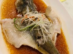 -老克勒上海菜(南京路步行街店)