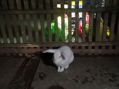 -龙城咖啡厅(常州富都洲际店)