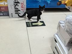 -Wagas沃歌斯(富力广场店)