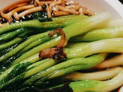 -新白鹿餐厅(百联中环店)