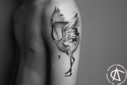 动物-AC TATTOO 纹身