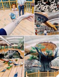 -萌宠亲子动物乐园(槐房万达店)