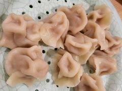 猪肉白菜煮饺子-老边饺子馆(东单店)
