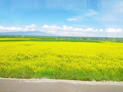 -扁都口生态休闲旅游区