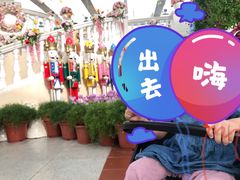-百万葵园
