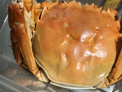 -佬太公海鸭·海鲜大排档(上海总店)