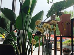 -chenity  cafe