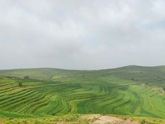 -草原天路(张北县)