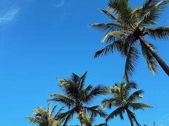 -海南口腔医院(国贸门诊部)