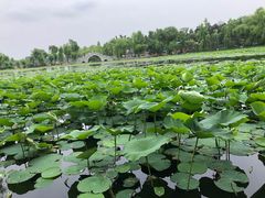 -长春市南湖公园