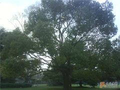 窗外-御花园·粤菜·海鲜火锅(中山公园店)