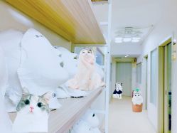 -韩国淼美颜皮肤管理官方直营店