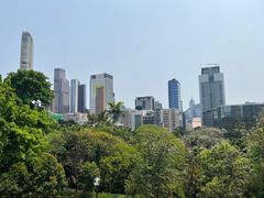 -九龙公园