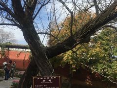 -总统兵马大元帅府