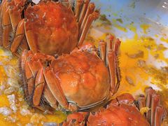 -筱爷叔·上海传统手工菜(新桥店)