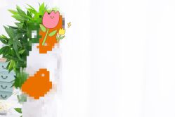 -大宇叔叔儿童摄影