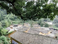 -杨家堂村