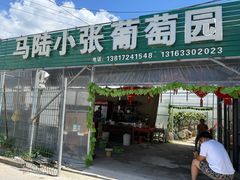 -马陆小张葡萄园农家乐