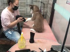 -德元·美联众合24小时动物医院(总院)