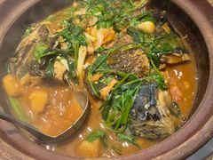 -九道菜有鸡鱼头(石鼓路店)