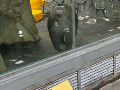 -柳州市动物园