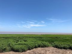 -南汇嘴观海公园