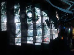 -同济大学四平路校区深海探索馆