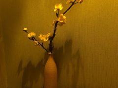 -域SPA·足疗·按摩·养生(静安寺店)