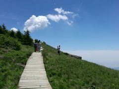 -白草畔自然风景区