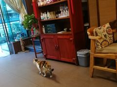 -天一朴素(武汉大学店)