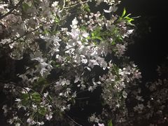 -悦江新远影城IMAX