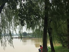 -鹤之洲湿地公园