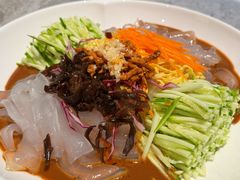 五彩大拉皮-红高粱大酒店(宁山东路店)