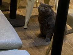 -小时光咖啡馆(开森度假森林店)