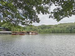 -三水森林公园