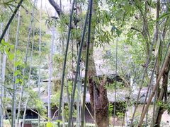 -法云古村