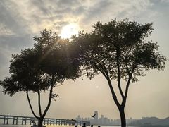 -星海广场