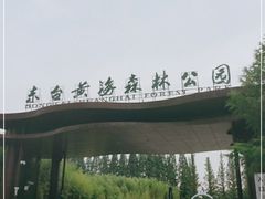 -黄海国家森林公园